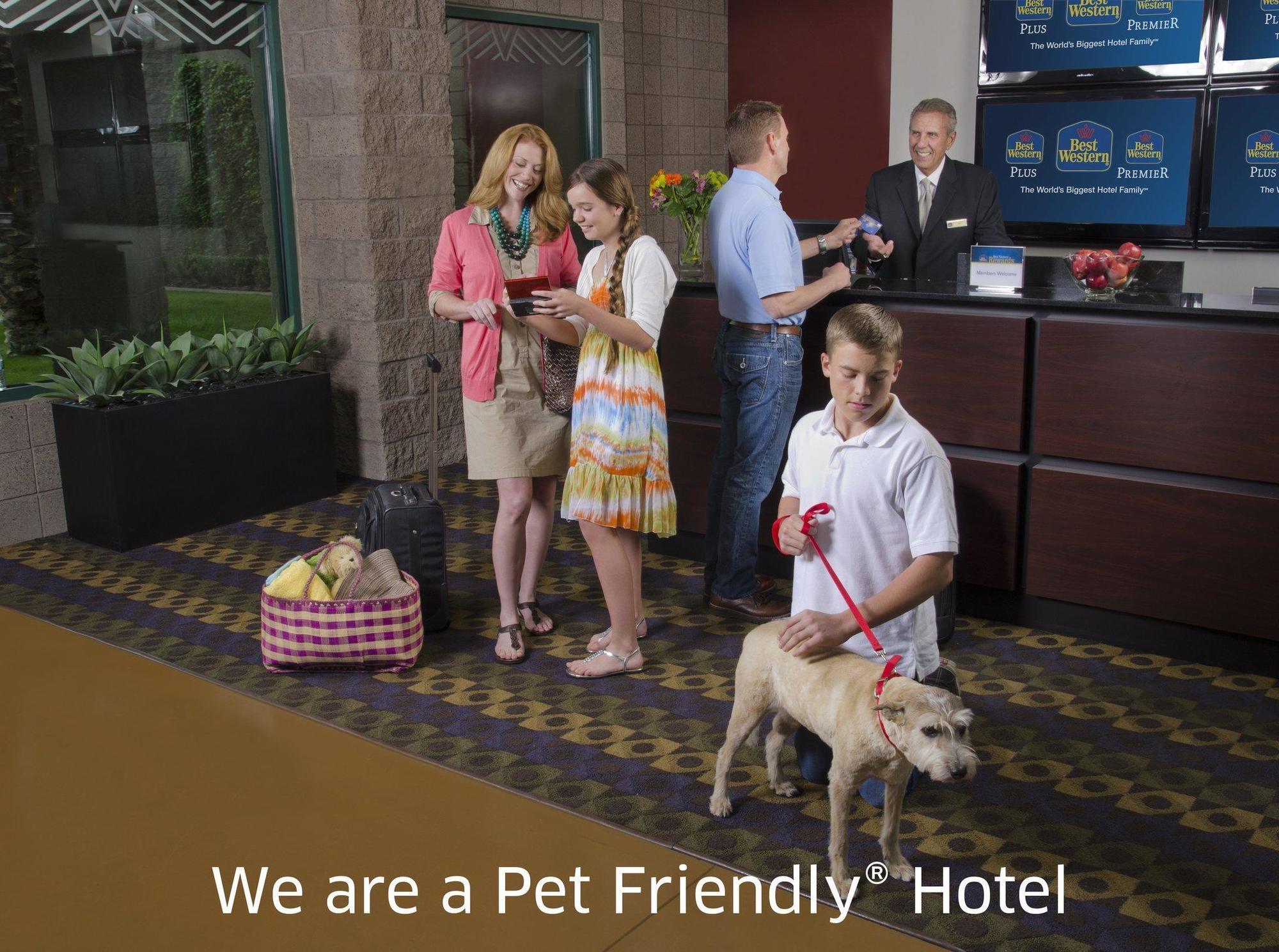 Quality Inn & Suites Phoenix Nw - Sun City Youngtown Kültér fotó